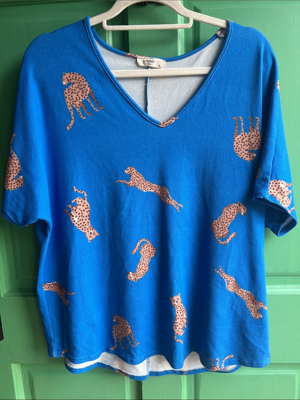 entro Vibrant Blue V-Neck Knit Top with Leopard- Small